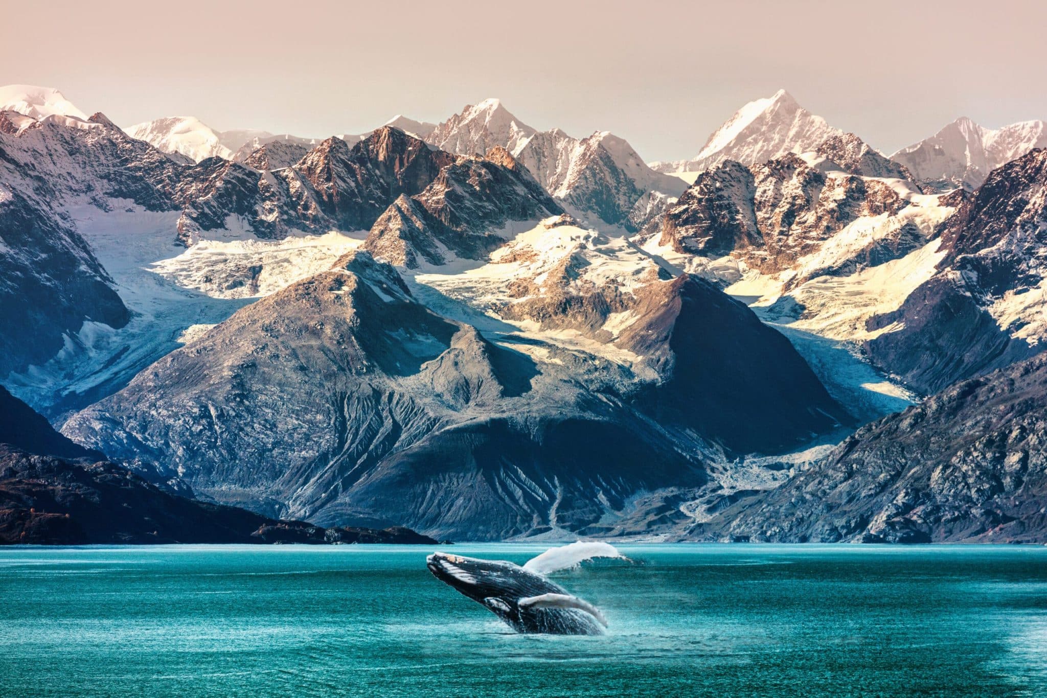 Alaska-Kreuzfahrten werden in diesem Sommer möglich sein
