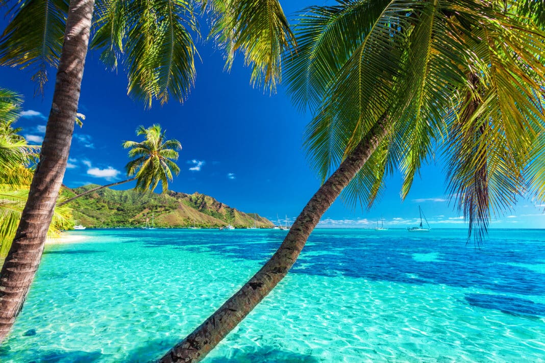 Am 9. Januar 2026 startet die Vasco da Gama, die fünfte Etappe der Weltreise in Tahiti an. Hier der Moorea-Strand mit blauem Meer. Foto: © nicko cruises Schiffsreisen GmbH / istock