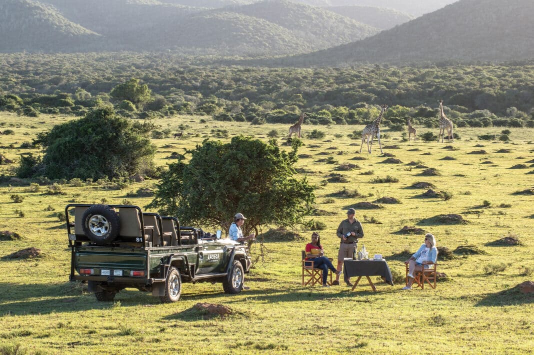 Kariega Safari, Foto: © Seabourn